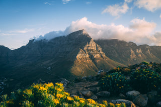 An insider’s guide to Cape Town’s 9 best outdoor activities